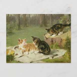 Kittens Pspelen Briefkaart