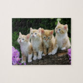 Kittens Puzzle Legpuzzel (Horizontaal)