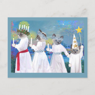 Kittens' Santa Lucia Procession Briefkaart