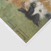 Kittens schilderij Henriette Ronner-Knip (1821-190 Tissuepapier (Detail)