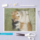 Kittens schilderij Henriette Ronner-Knip (1821-190 Tissuepapier (Craft)