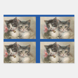Kittens set van 3 Inpakpapier Vel