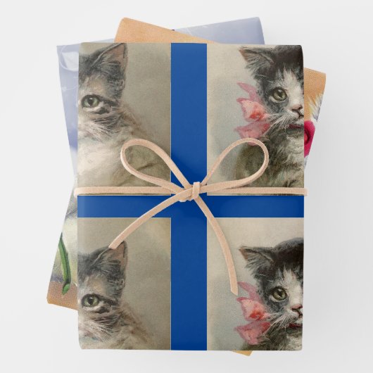  Kittens set van 3 Inpakpapier Vel (In situ)