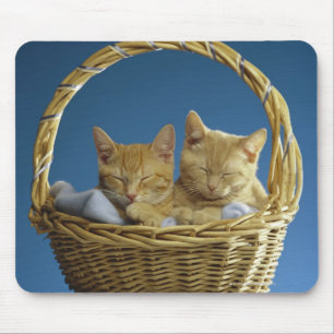 Kittens slapen in de mand muismat