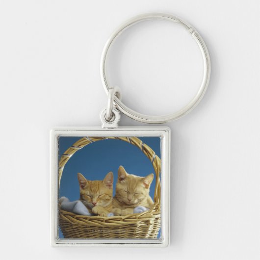 Kittens slapen in de mand sleutelhanger (Voorkant)