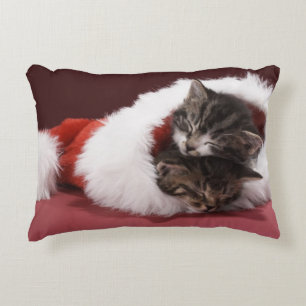 Kittens slapen samen in het kerstpet accent kussen