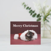 Kittens slapen samen in het kerstpet feestdagenkaart (Staand voorkant)