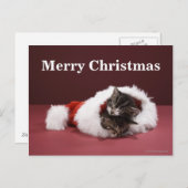 Kittens slapen samen in het kerstpet feestdagenkaart (Voorkant / Achterkant)
