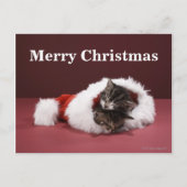 Kittens slapen samen in het kerstpet feestdagenkaart (Voorkant)