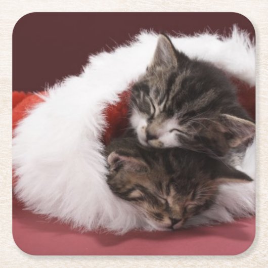 Kittens slapen samen in het kerstpet kartonnen onderzetters (Voorkant)