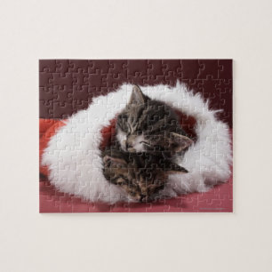 Kittens slapen samen in het kerstpet legpuzzel
