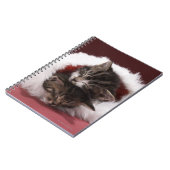 Kittens slapen samen in het kerstpet notitieboek (Linkerzijde)