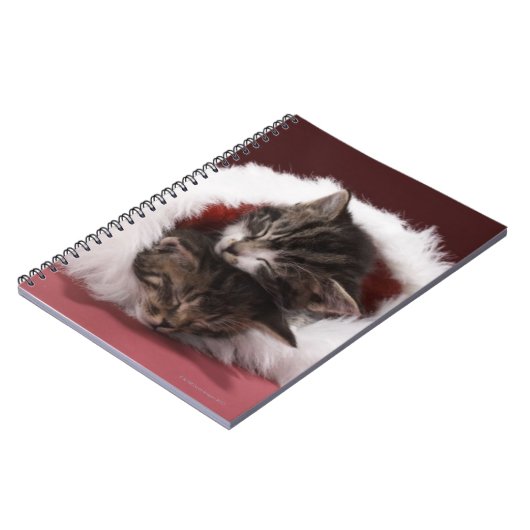 Kittens slapen samen in het kerstpet notitieboek (Linkerzijde)