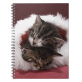 Kittens slapen samen in het kerstpet notitieboek (Voorkant)