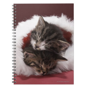 Kittens slapen samen in het kerstpet notitieboek