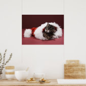 Kittens slapen samen in het kerstpet poster (Keuken)