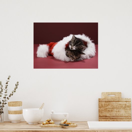 Kittens slapen samen in het kerstpet poster (Keuken)