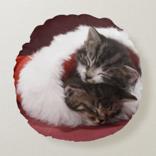 Kittens slapen samen in het kerstpet rond kussen