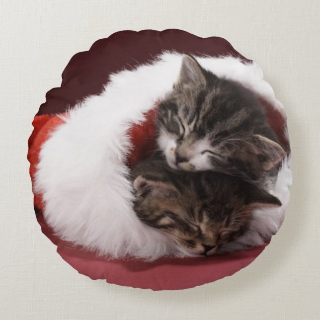 Kittens slapen samen in het kerstpet rond kussen (Voorkant)