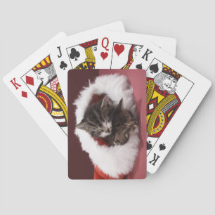 Kittens slapen samen in het kerstpet speelkaarten