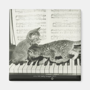 Kittens spelen de piano magneet