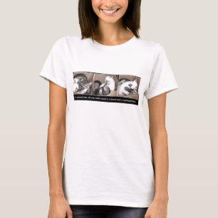 Kittens spelen in een doos t-shirt