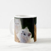 Kittens spelen koffiemok (Voorkant links)