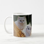 Kittens spelen koffiemok (Links)