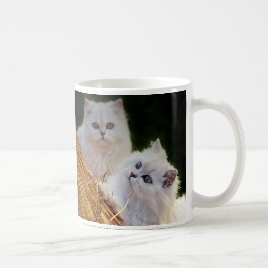 Kittens spelen koffiemok (Rechts)
