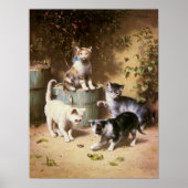 Kittens Spelen met Beetles, Carl Reichert Poster (Voorkant)