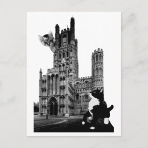 Kittens spelen op Ely Cathedral Briefkaart
