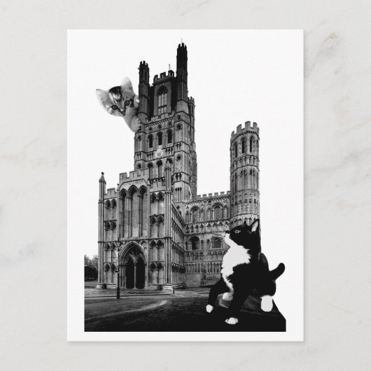Kittens spelen op Ely Cathedral Briefkaart (Voorkant)