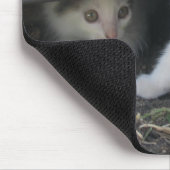 Kittens spelen op het Boerderij Mousepad Muismat (Hoek)