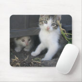 Kittens spelen op het Boerderij Mousepad Muismat (Met muis)