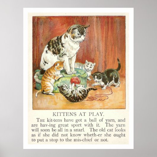 Kittens spelen poster (Voorkant)
