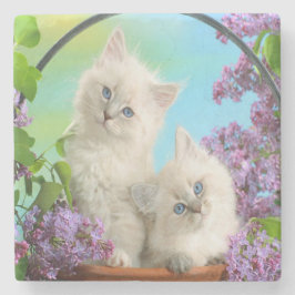 Kittens Stenen Onderzetter
