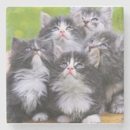 Kittens Stenen Onderzetter
