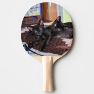 Kittens Tafeltennisbatje