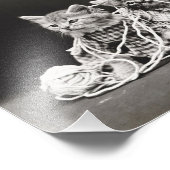 Kittens Tangled in garen Foto Afdruk (Hoek)