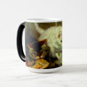 Kittens Tea Party Magische Mok (Voorkant links)