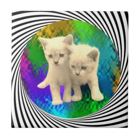 KITTENS TEGELTJE (Voorkant)