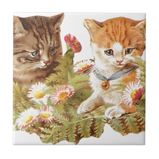Kittens Tegeltje (Voorkant)
