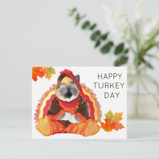 Kittens Thanksgiving Turkije Dag Briefkaart (Staand voorkant)