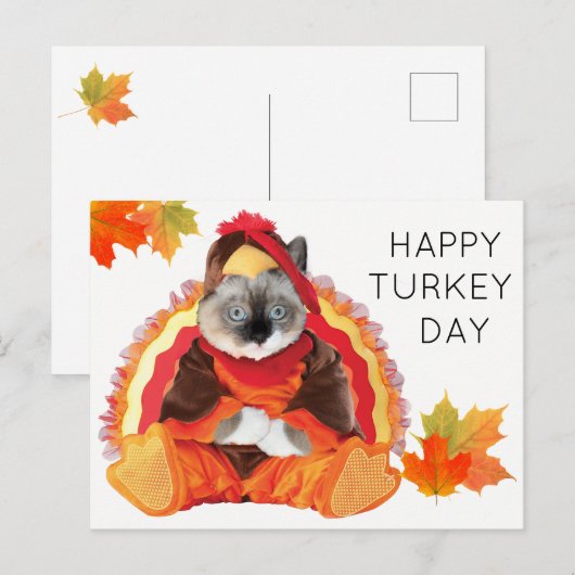 Kittens Thanksgiving Turkije Dag Briefkaart (Voorkant / Achterkant)