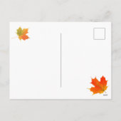 Kittens Thanksgiving Turkije Dag Briefkaart (Achterkant)