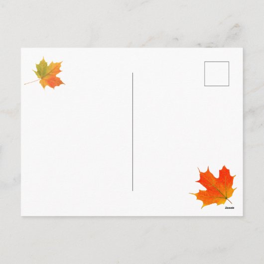 Kittens Thanksgiving Turkije Dag Briefkaart (Achterkant)