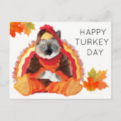 Kittens Thanksgiving Turkije Dag Briefkaart (Voorkant)