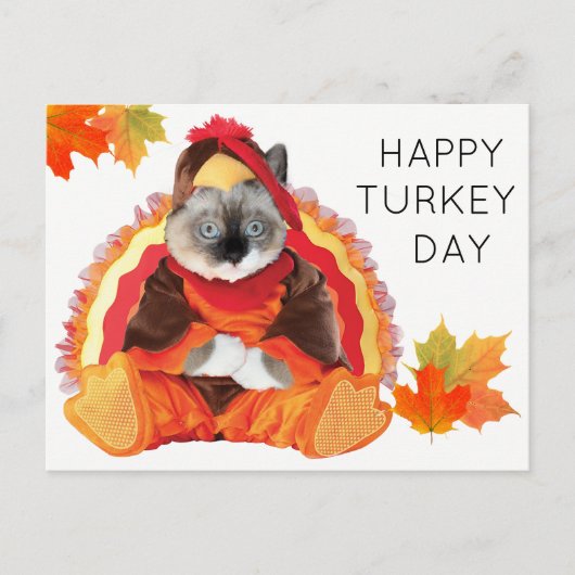 Kittens Thanksgiving Turkije Dag Briefkaart (Voorkant)