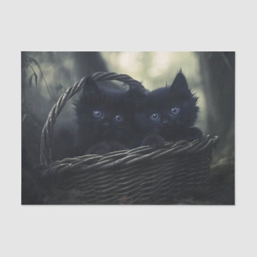 Kittens Tissuepapier (Voorkant)