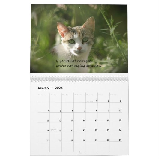 Kittens van geweten kalender (Jan 2026)